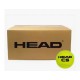 HEAD CS